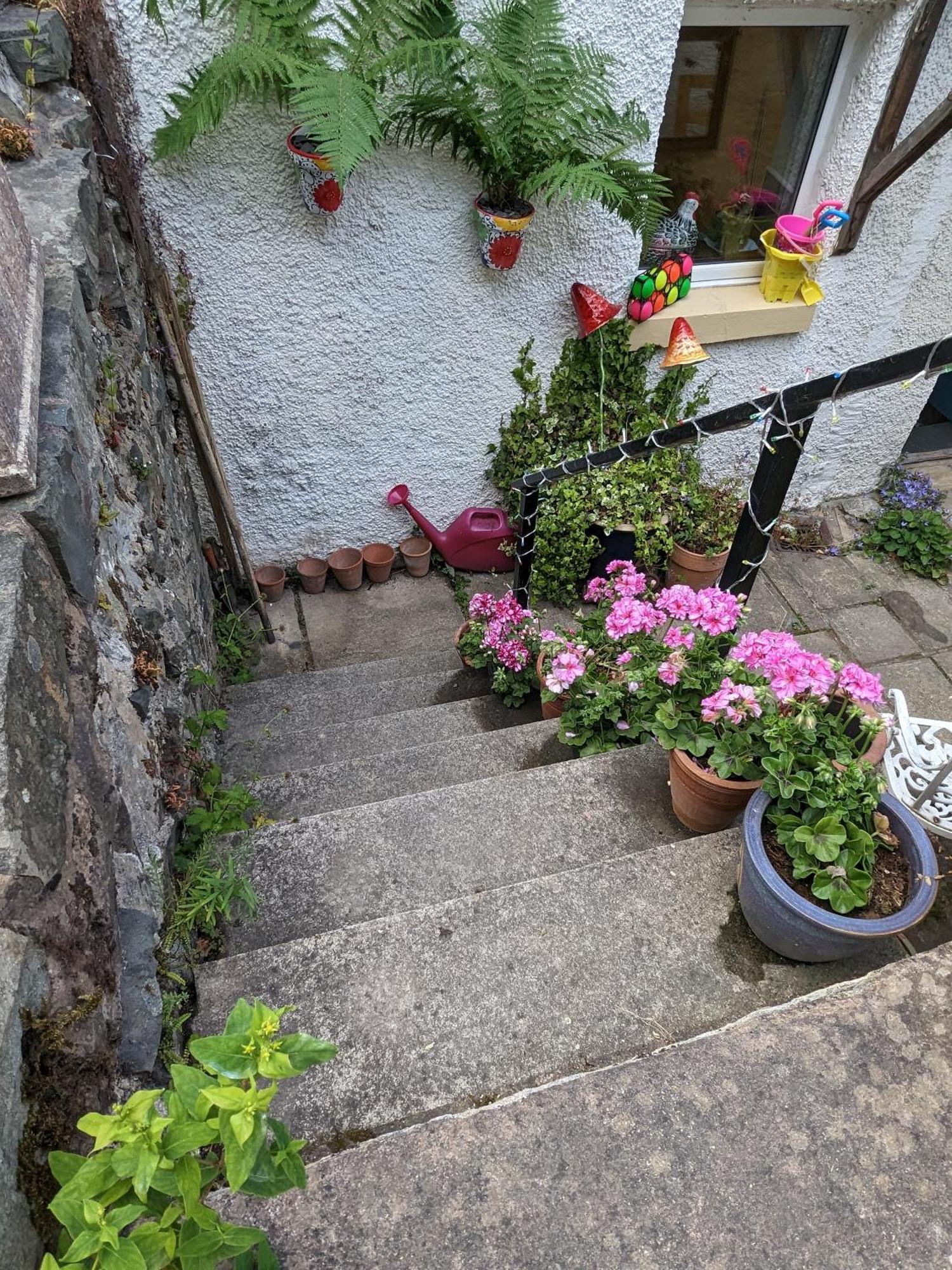 Fantastic Sea Views At Century'S Old Alma'S Cottage - Sleeps Up To 8 Guests Penmaenmawr Экстерьер фото